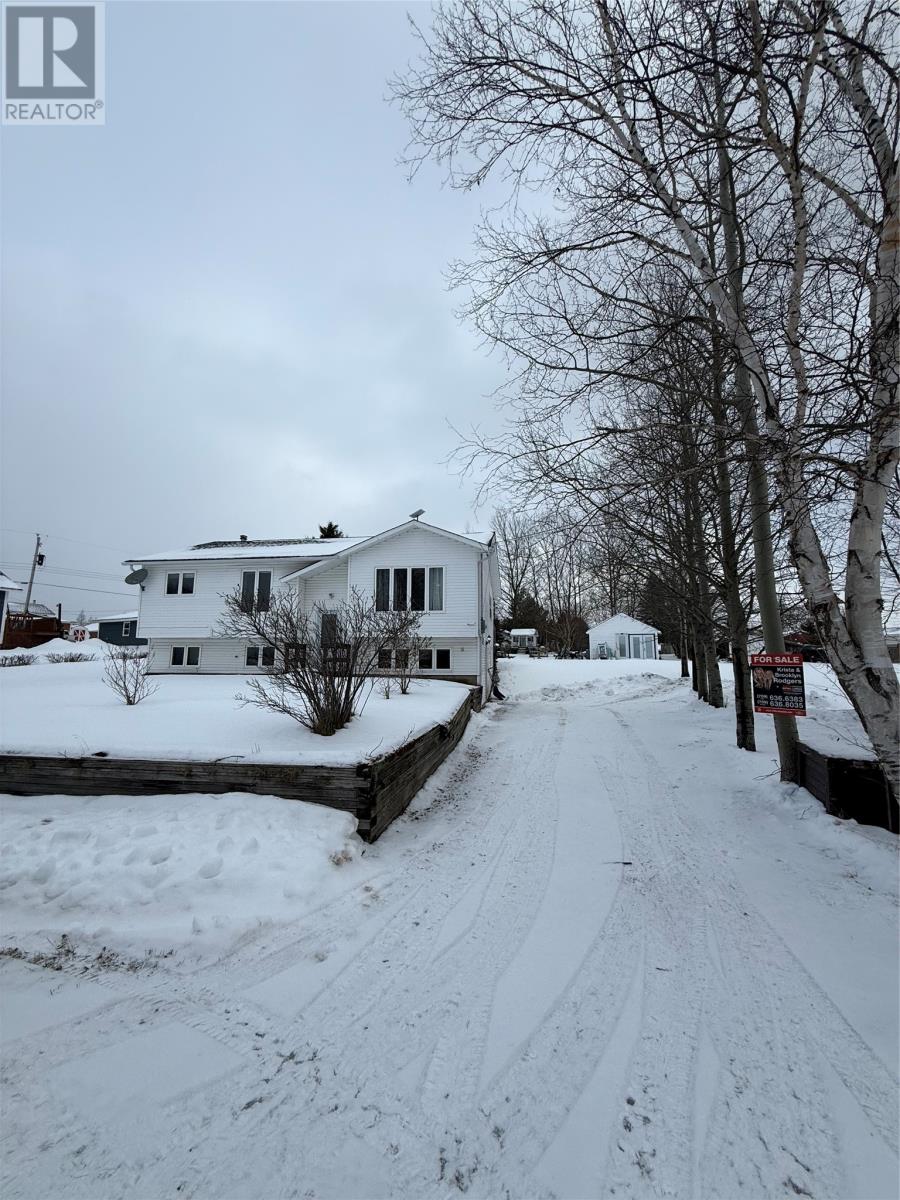 1 Circular Road Extension, Deer Lake, Newfoundland & Labrador  A8A 2V6 - Photo 30 - 1293463