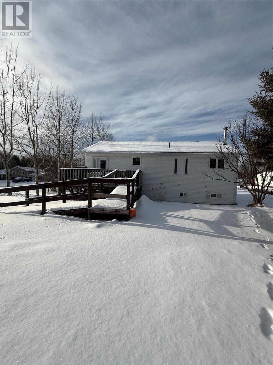 1 Circular Road Extension, Deer Lake, Newfoundland & Labrador  A8A 2V6 - Photo 6 - 1293463