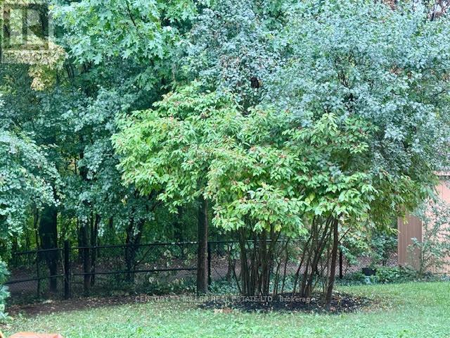 373 Ravineview Way, Oakville, Ontario  L6H 6S5 - Photo 44 - W12665820