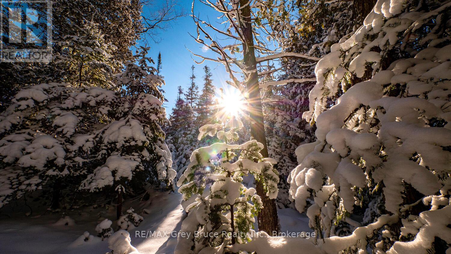 Lot 5 Trillium Crossing, Northern Bruce Peninsula, Ontario  N0H 1W0 - Photo 24 - X12263474