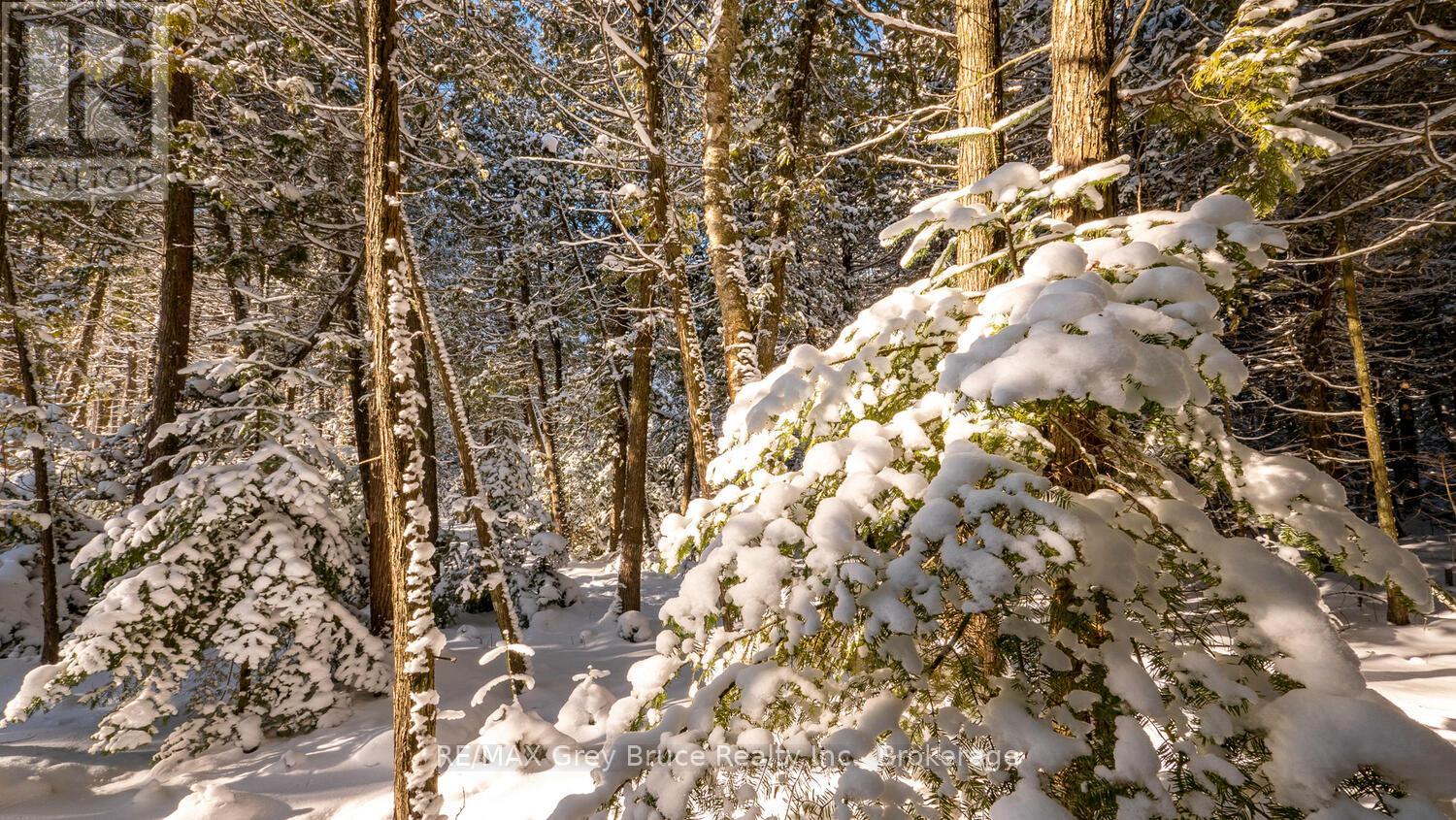 Lot 5 Trillium Crossing, Northern Bruce Peninsula, Ontario  N0H 1W0 - Photo 22 - X12263474