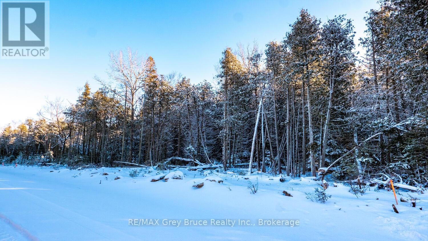 Lot 5 Trillium Crossing, Northern Bruce Peninsula, Ontario  N0H 1W0 - Photo 3 - X12263474