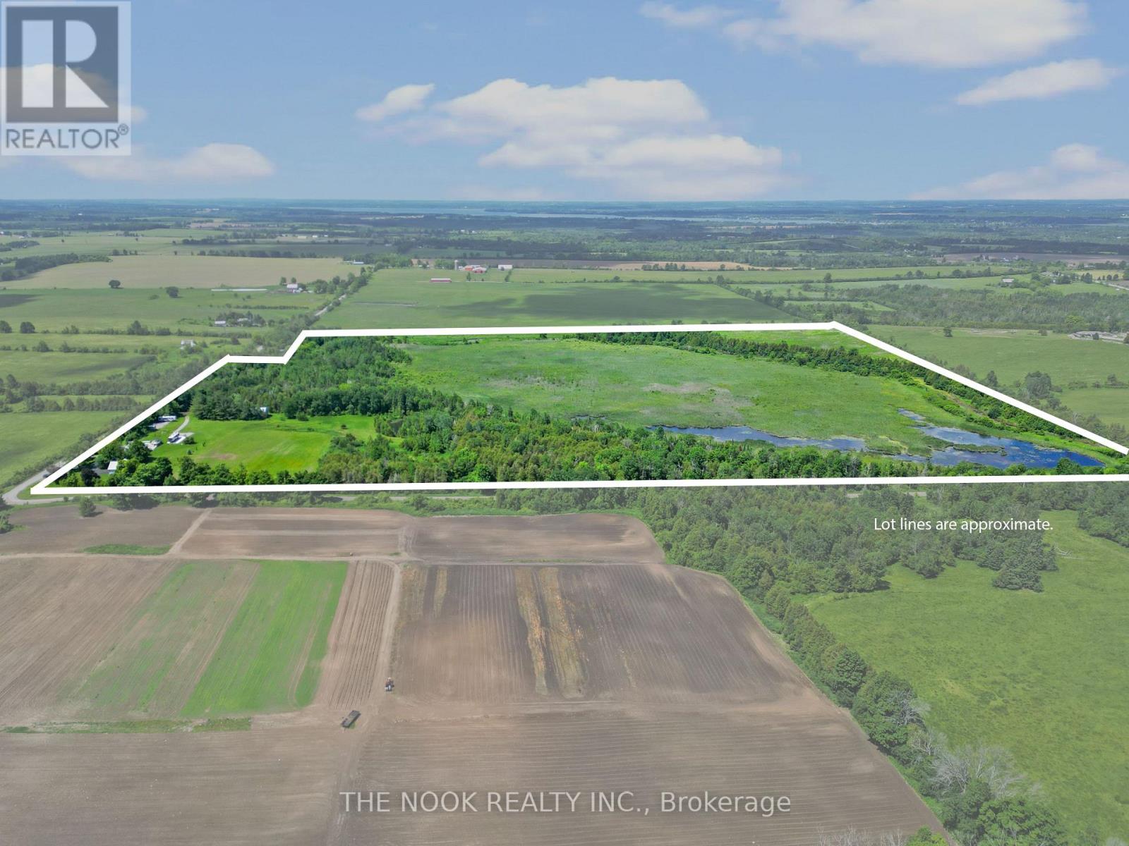 593 Pigeon Creek Road, Kawartha Lakes, Ontario  L0B 1K0 - Photo 4 - X12665988