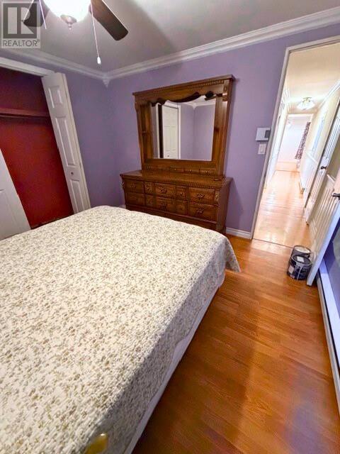 53 Hussey Drive, St. John's, Newfoundland & Labrador  A1A 4Y9 - Photo 15 - 1293321