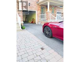 BASEMENT - 139 HILLWOOD STREET, Markham, Ontario