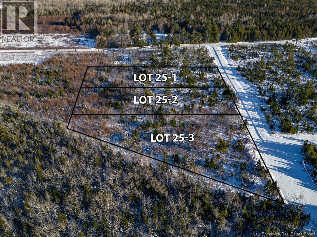 Lot 25-3 Hannay Road, Galloway, New Brunswick  E4W 2M4 - Photo 5 - NB131693