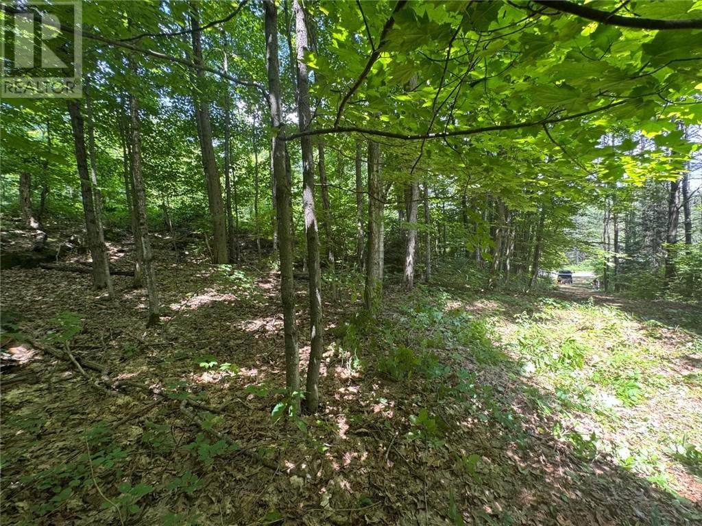 Pin 521800430, Seguin, Ontario  P2A 0B2 - Photo 3 - 2126008