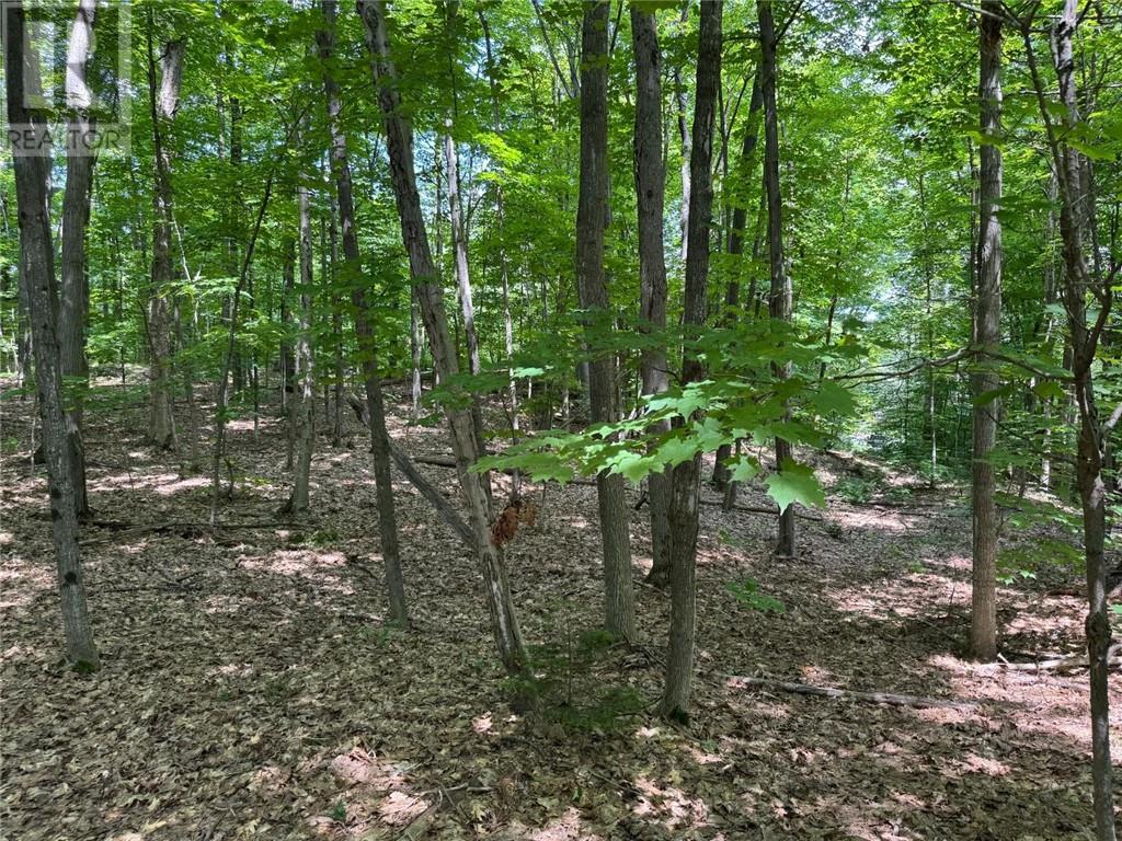 Pin 521800430, Seguin, Ontario  P2A 0B2 - Photo 4 - 2126008