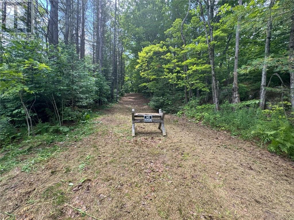 Pin 521800430, Seguin, Ontario  P2A 0B2 - Photo 8 - 2126008