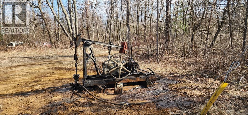 29771 Zone Rd 7 ..., Bothwell, Ontario  N0P 1C0 - Photo 10 - 26000308