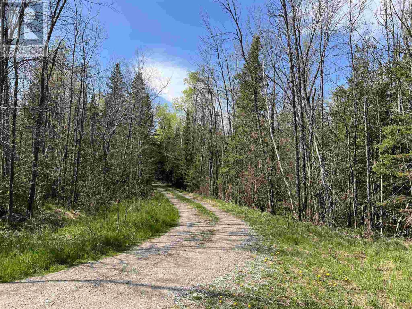 4957 Gordon Rd, Jocelyn Township, Ontario  P0R 1G0 - Photo 13 - SM260030