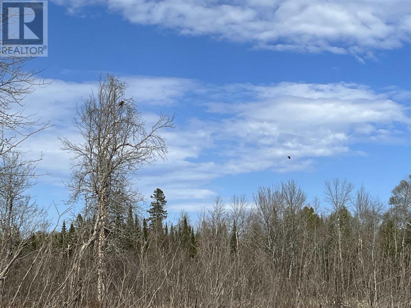 4957 Gordon Rd, Jocelyn Township, Ontario  P0R 1G0 - Photo 5 - SM260030