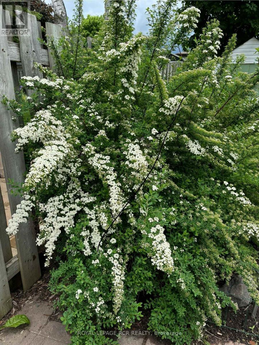 311 Whitehead Crescent, Caledon, Ontario  L7E 3Y6 - Photo 34 - W12566286