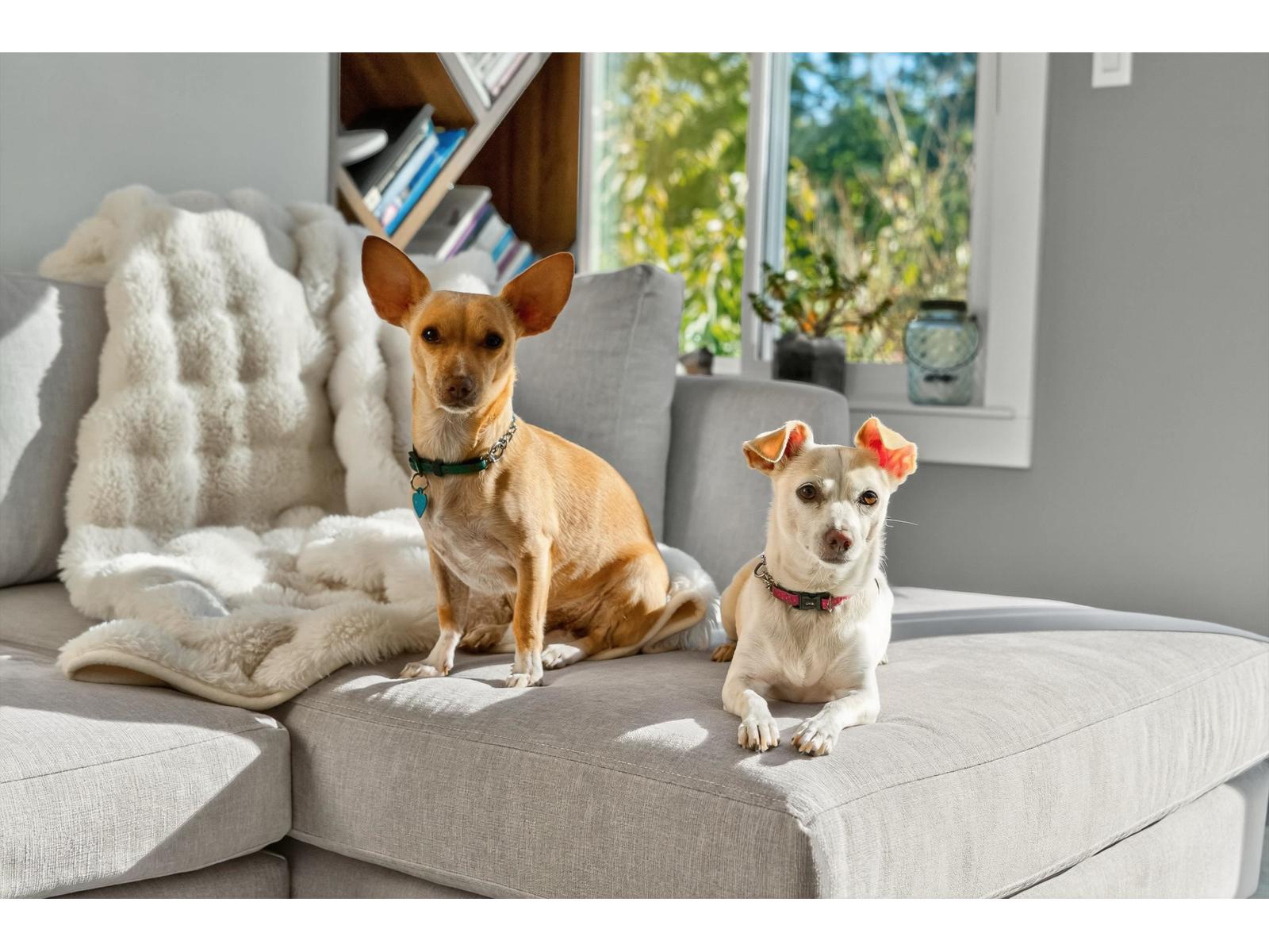 11 15971 Marine Drive, White Rock, British Columbia  V4B 1G1 - Photo 29 - R3075627