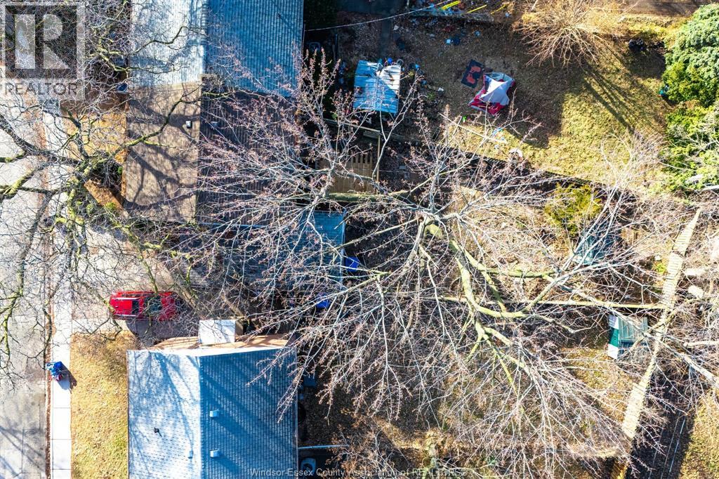 2330 Tecumseh Rd W, Windsor, Ontario  N9B 1W1 - Photo 40 - 26000330