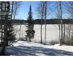 1133 FIRE ROUTE A1 STREET, Gravenhurst, Ontario