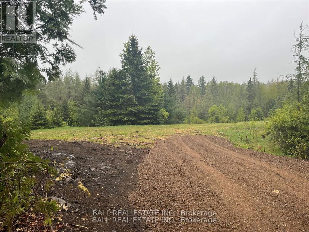 Pt Lots 11 & 12 As Part 1 Clydesdale Road, North Kawartha, Ontario  K0L 1A0 - Photo 2 - X12668110