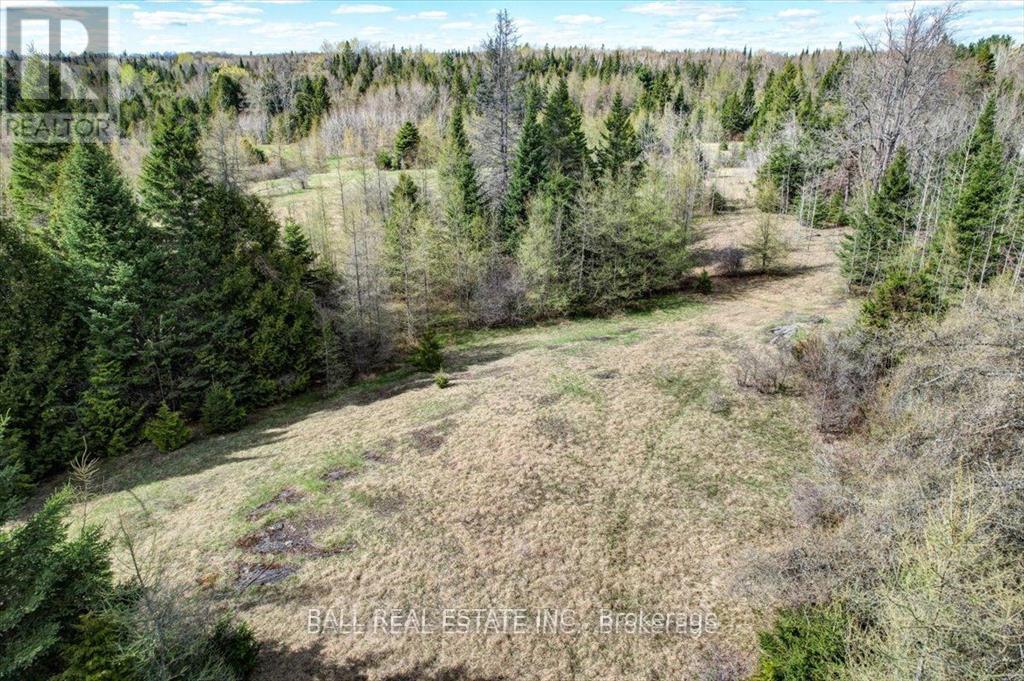 Pt Lts 11 & 12 As Part 2 Road, North Kawartha, Ontario  K0L 1A0 - Photo 7 - X12668122