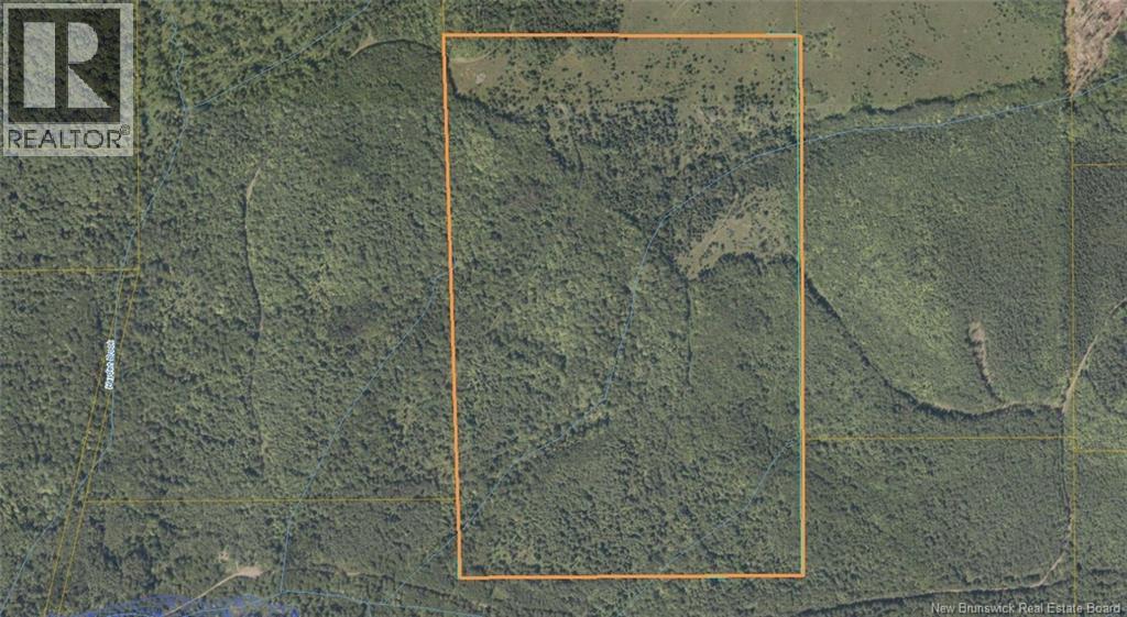 0 Howard Brook Road, Howard Brook, New Brunswick  E7P 2B3 - Photo 1 - NB131479