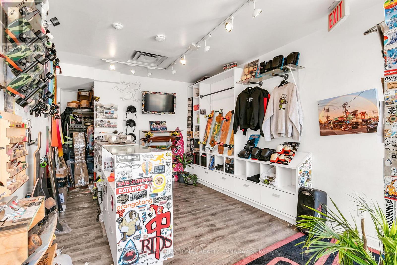 Main Floor - 202 Augusta Avenue, Toronto, Ontario  M5T 2L6 - Photo 7 - C12668216