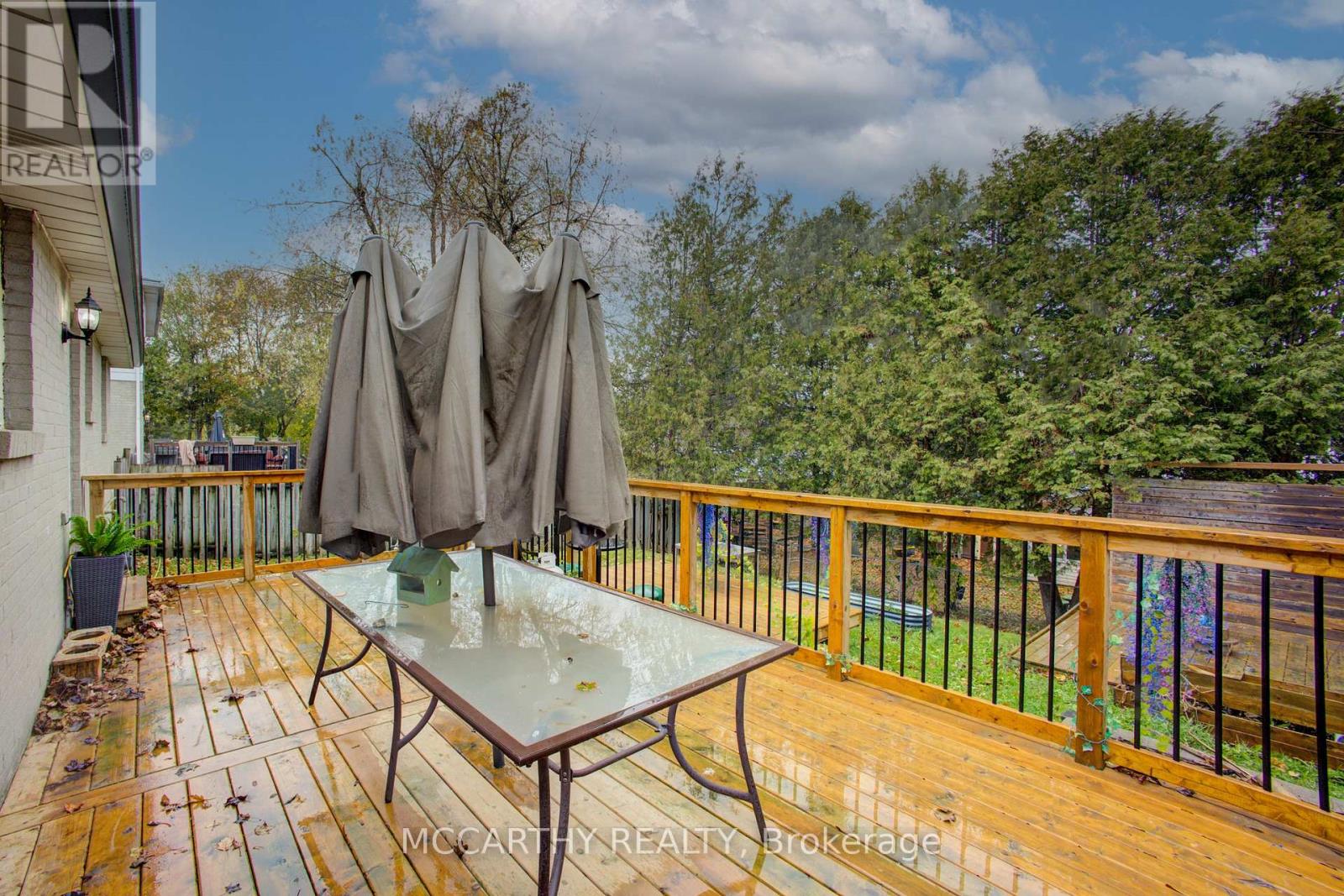 124 Muriel Street, Shelburne, Ontario  L9V 2W5 - Photo 37 - X12513810