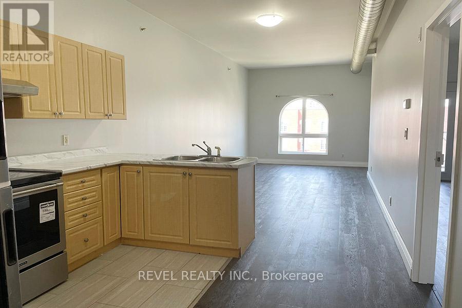 403 - 150 Colborne Street, Brantford, Ontario  N3T 2G7 - Photo 4 - X12668150