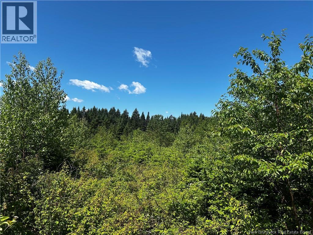 Old Gardner Creek Road, Rowley, New Brunswick  E2S 0E9 - Photo 1 - NB131735