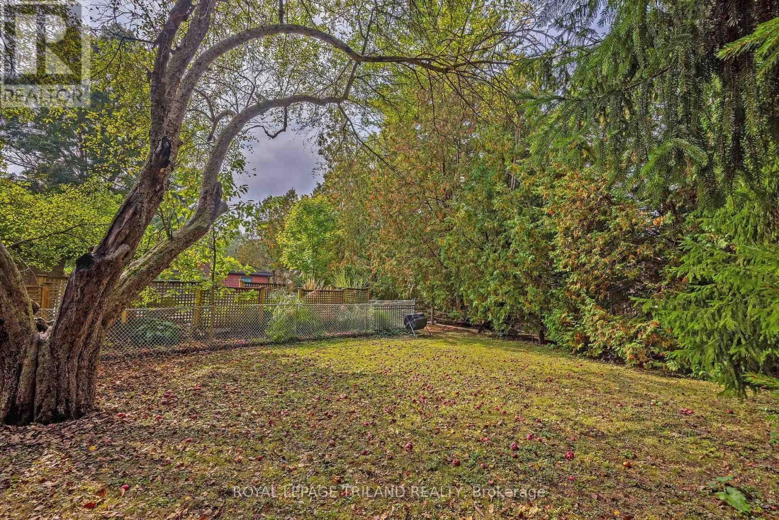 176 Devonshire Avenue, London South, Ontario  N6C 2J1 - Photo 38 - X12668352