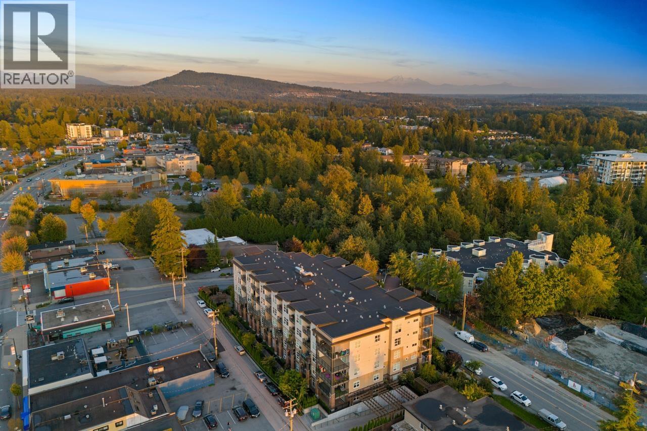 306 22577 Royal Crescent, Maple Ridge, British Columbia  V2X 2M2 - Photo 35 - R3076017