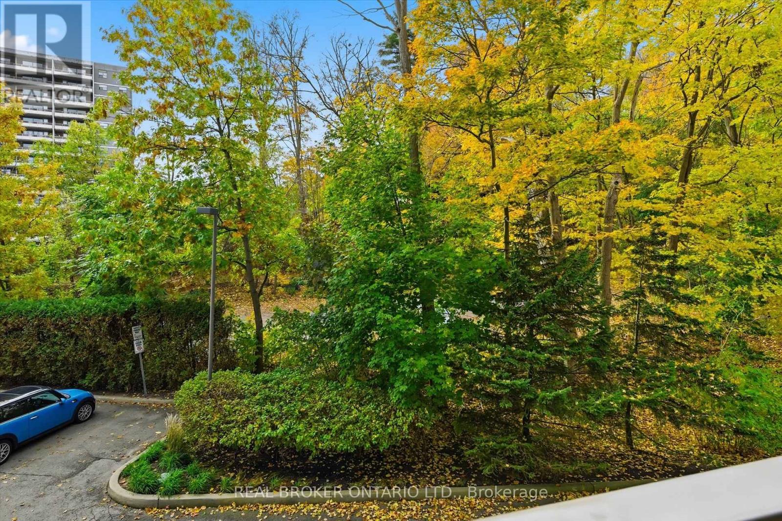 207 - 77 Governors Road, Hamilton, Ontario  L9H 7N8 - Photo 47 - X12494192