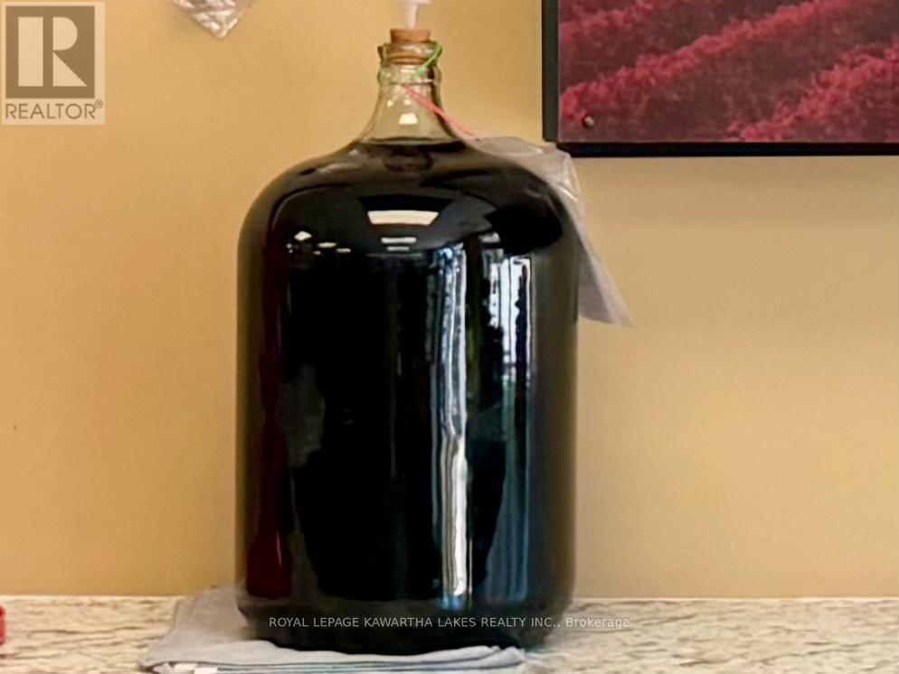 1 - 448 Osborne Street, Brock, Ontario  L0K 1A0 - Photo 2 - N12600930