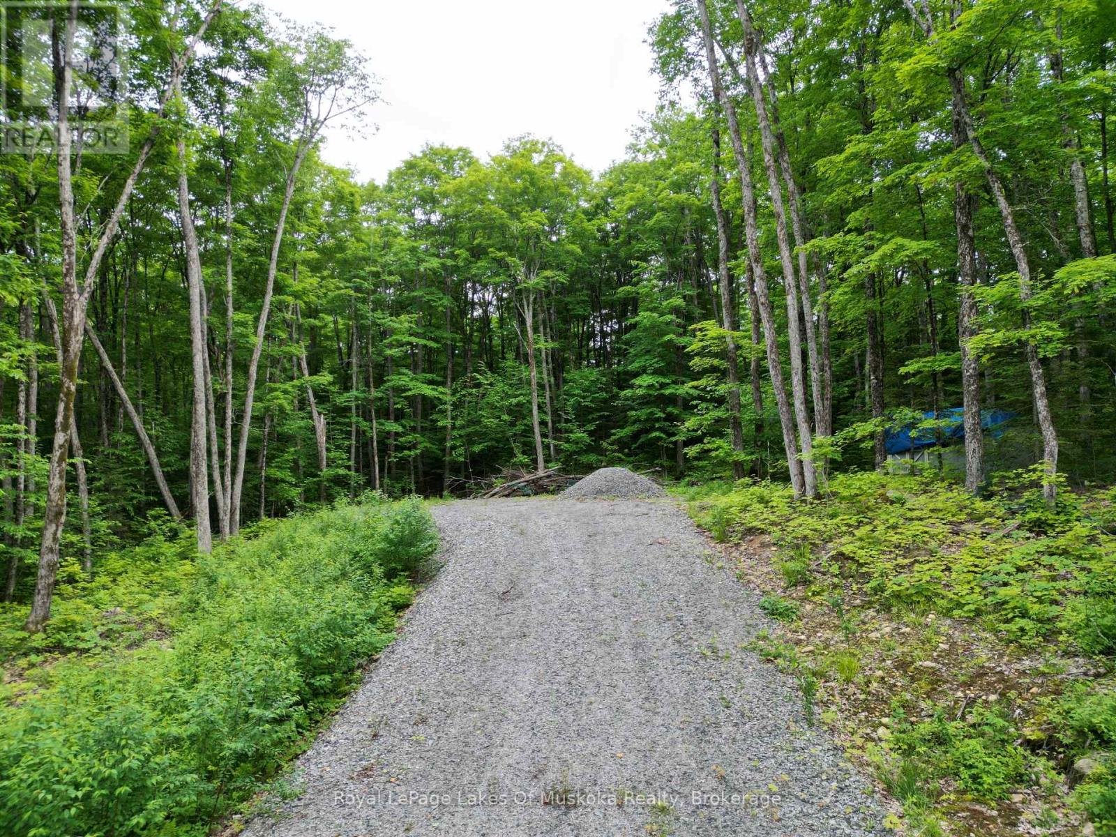 Lot 29 Bay Lake Road, Perry, Ontario  P0A 1J0 - Photo 7 - X12668630