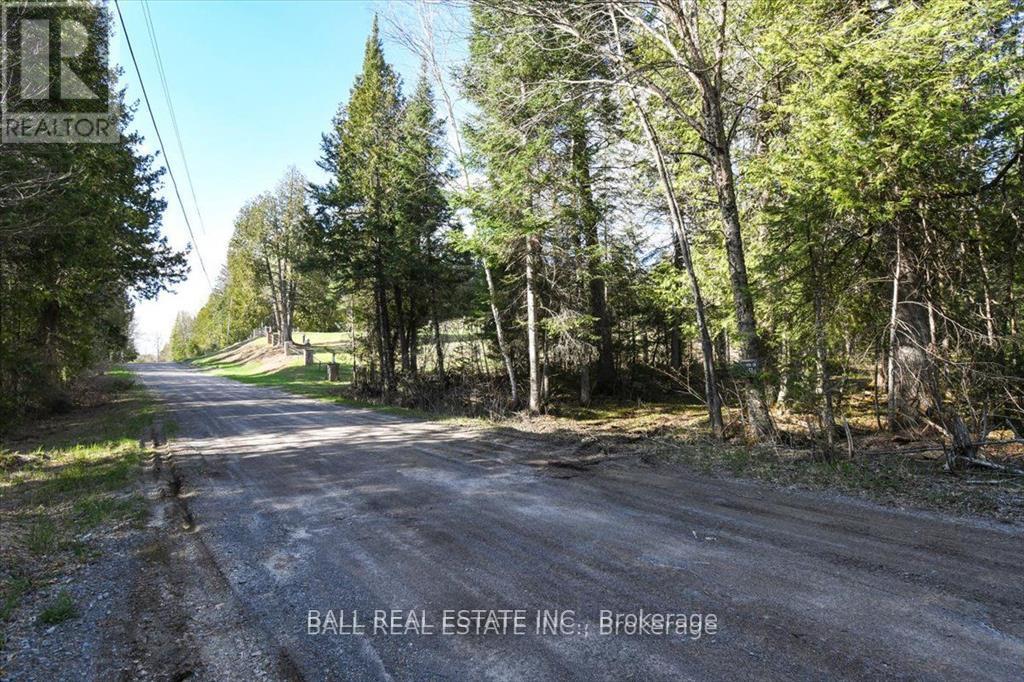 0 Clydesdale Road, North Kawartha, Ontario  K0L 1A0 - Photo 10 - X12668694
