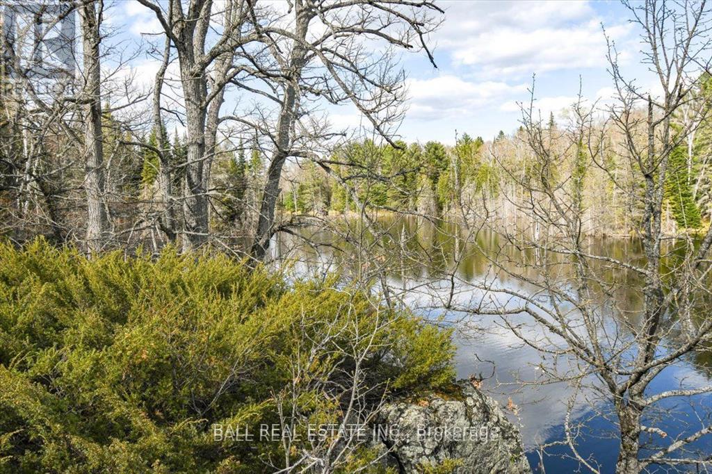 0 Clydesdale Road, North Kawartha, Ontario  K0L 1A0 - Photo 2 - X12668694