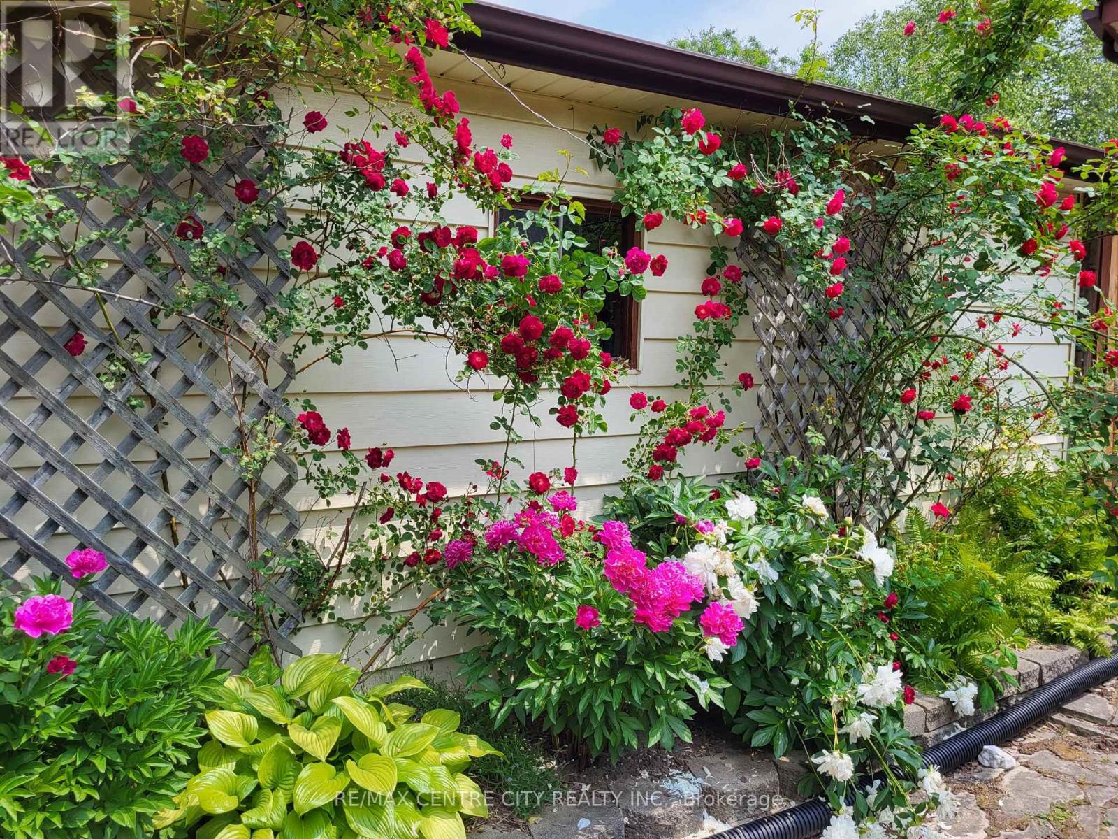 Main Floor - 108 Cecilia Place, London East, Ontario  N5Y 4A4 - Photo 46 - X12668648