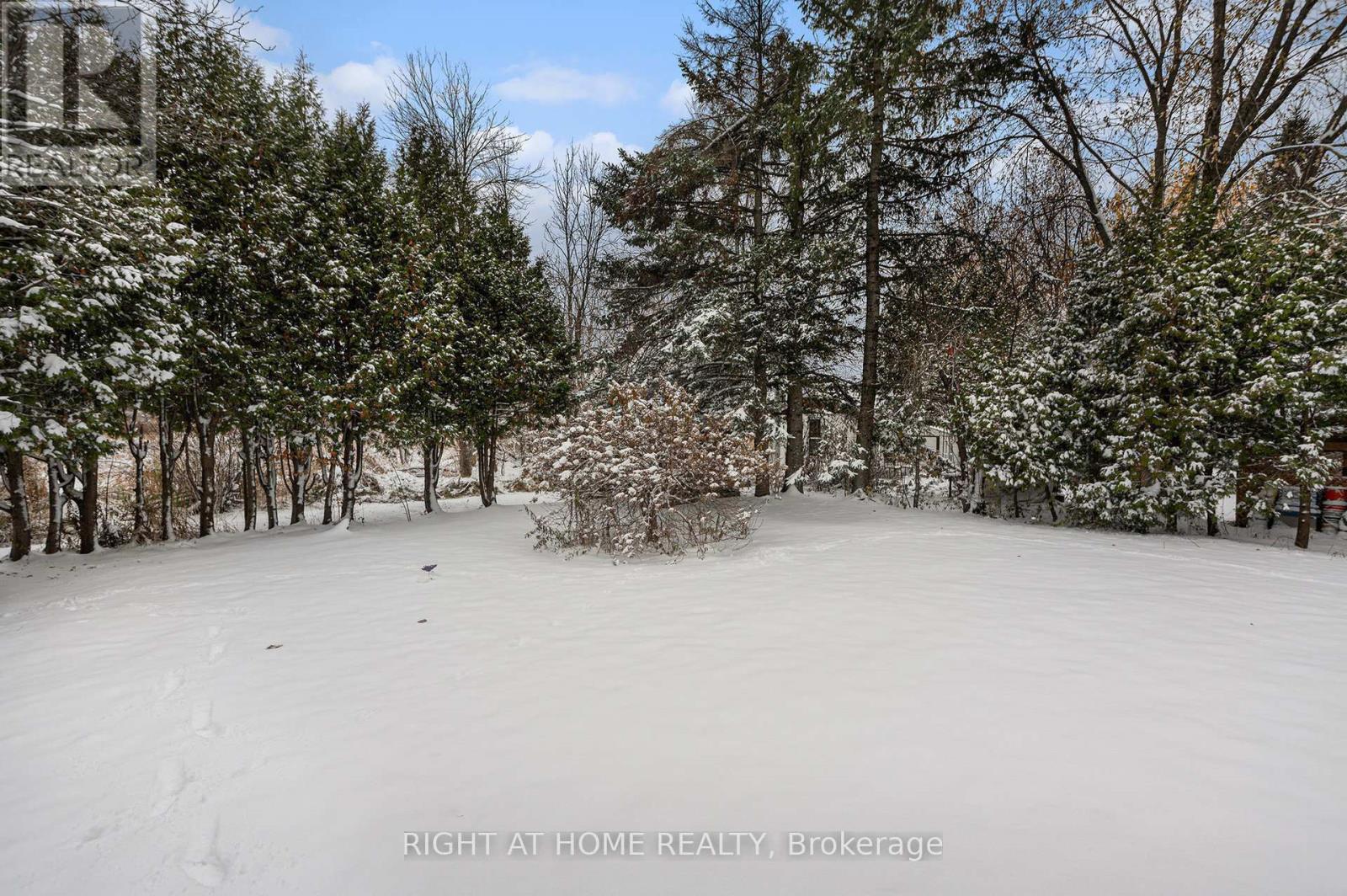 3688 Principale Street, Alfred And Plantagenet, Ontario  K0A 3K0 - Photo 29 - X12668676