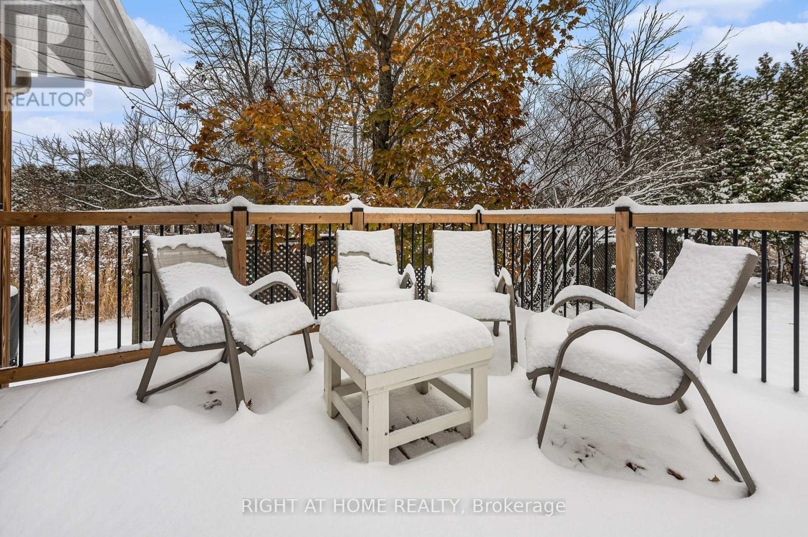 3688 Principale Street, Alfred And Plantagenet, Ontario  K0A 3K0 - Photo 30 - X12668676