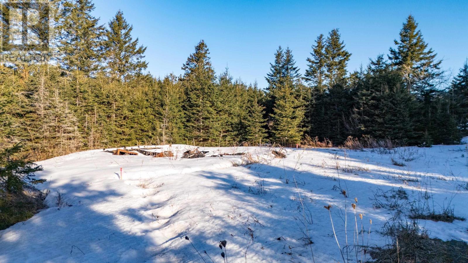 3256 Rte 225, Springton, Prince Edward Island  C0A 1Y0 - Photo 9 - 202600272