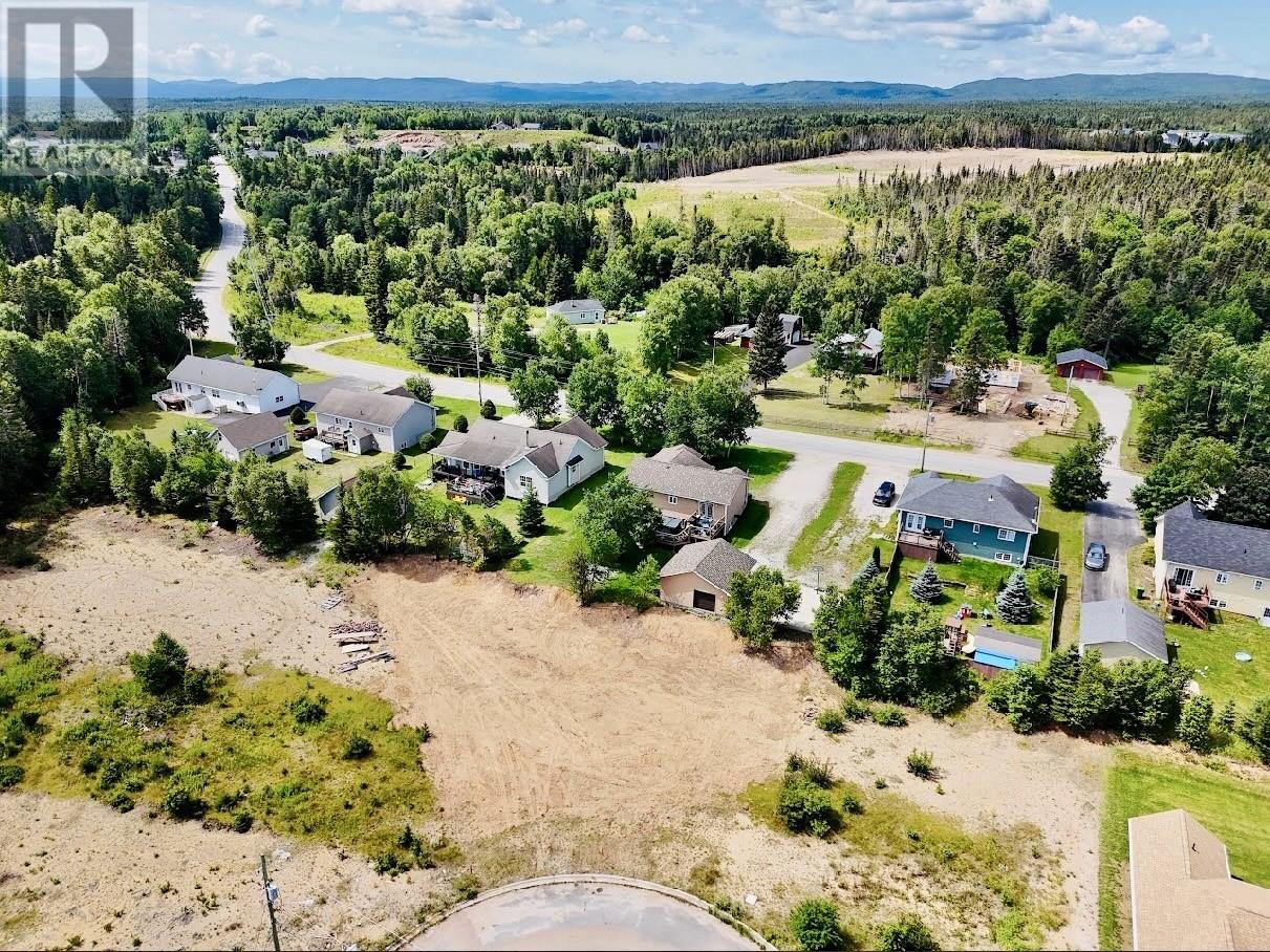 12 Stellas Place, Deer Lake, Newfoundland & Labrador  A8A 3K4 - Photo 2 - 1293478