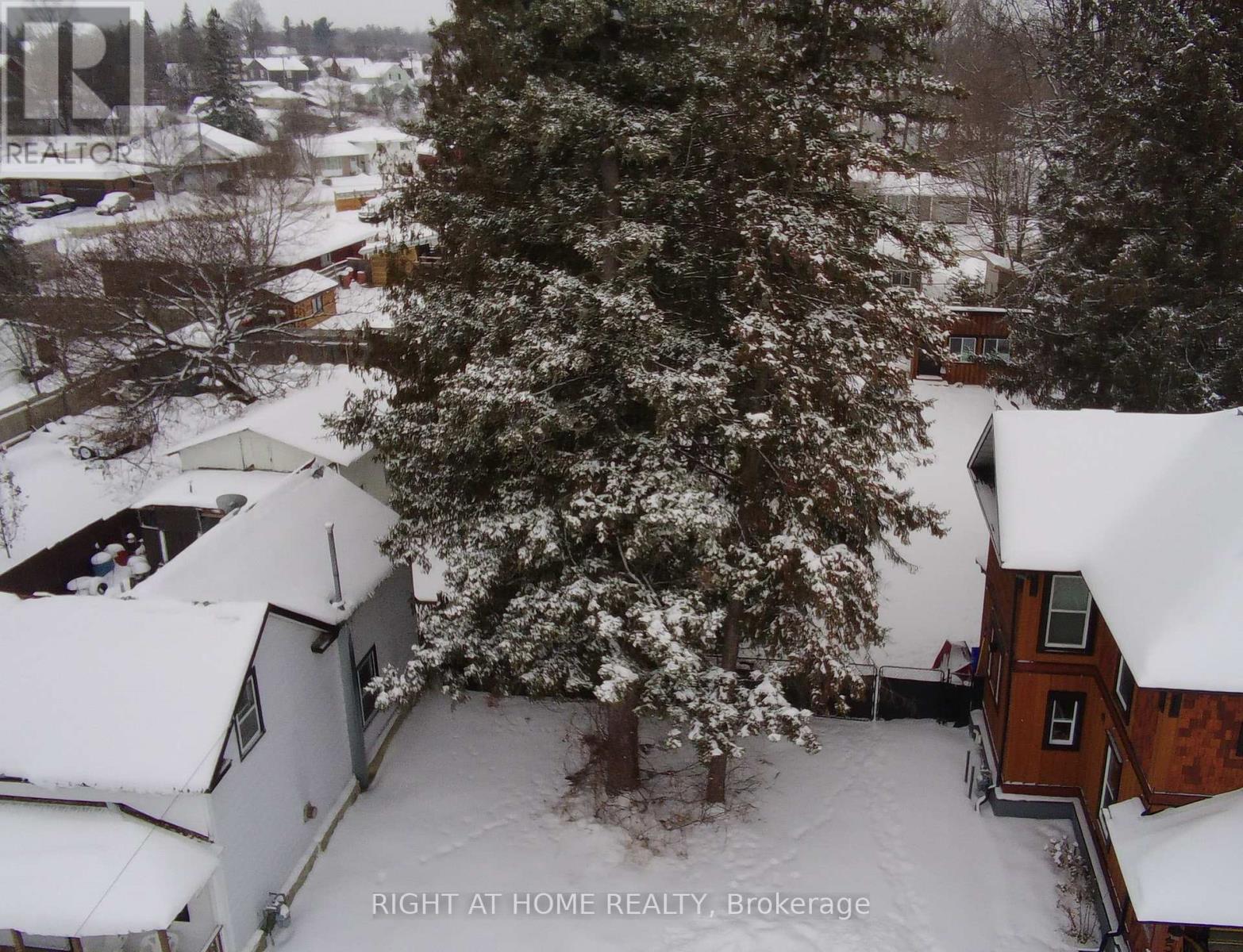 250 Harrington Street, Arnprior, Ontario  K7S 2T9 - Photo 4 - X12668874