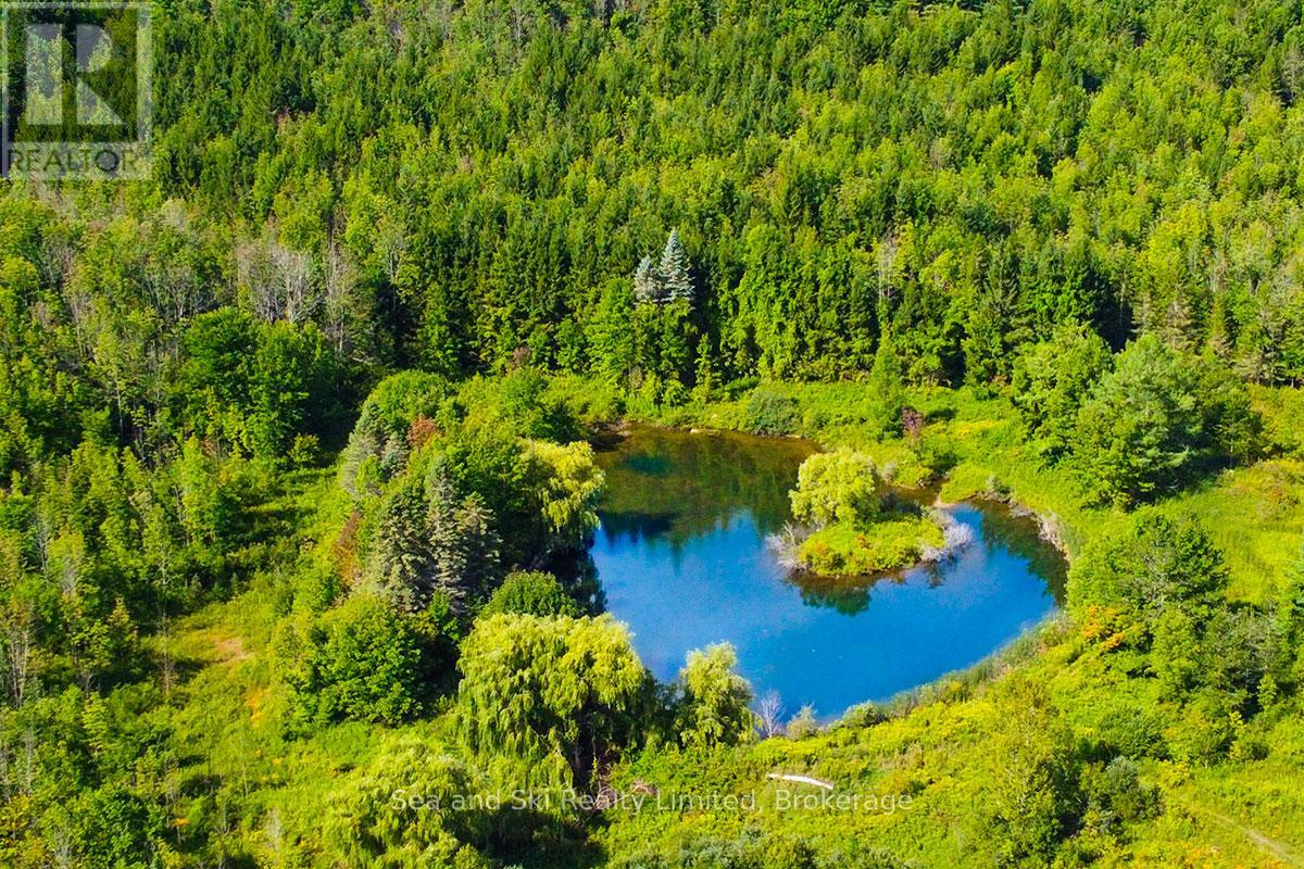 195908 Grey Road 7 Road S, Grey Highlands, Ontario  N0C 1G0 - Photo 17 - X12376388