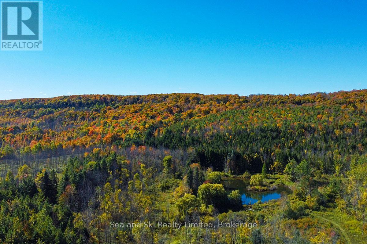 195908 Grey Road 7 Road S, Grey Highlands, Ontario  N0C 1G0 - Photo 18 - X12376388