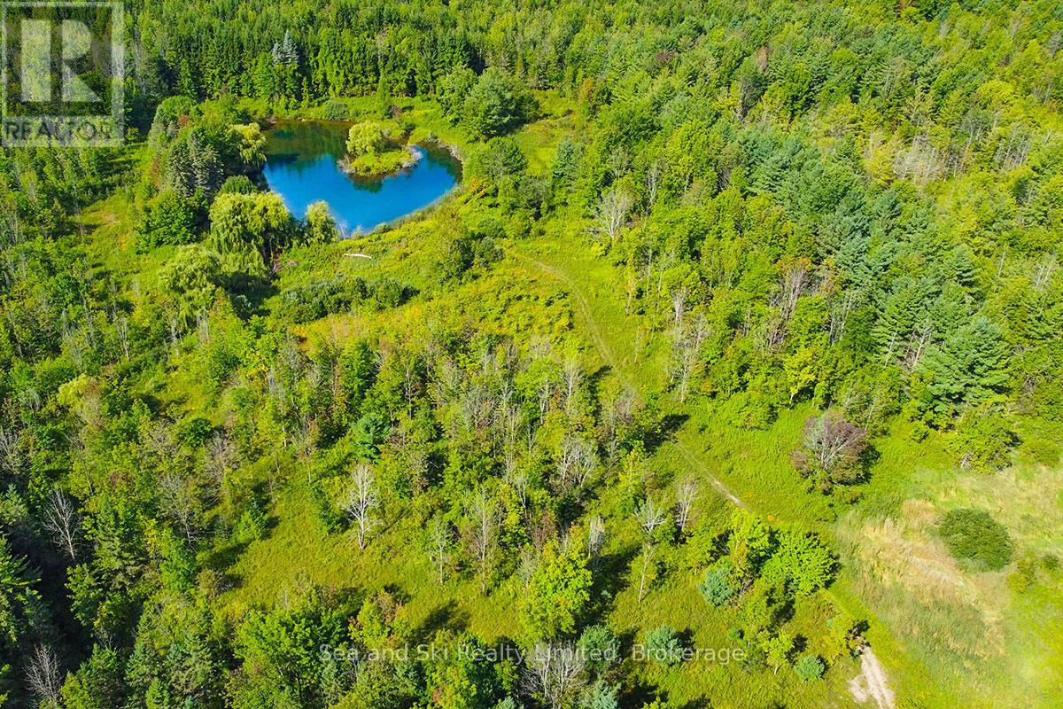 195908 Grey Road 7 Road S, Grey Highlands, Ontario  N0C 1G0 - Photo 39 - X12376388