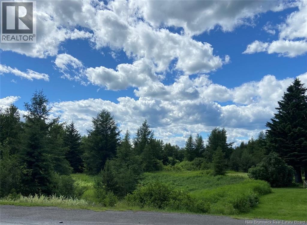 448 Isidore-Boucher Boulevard, Saint-Jacques, New Brunswick  E7B 1Y9 - Photo 4 - NB131692