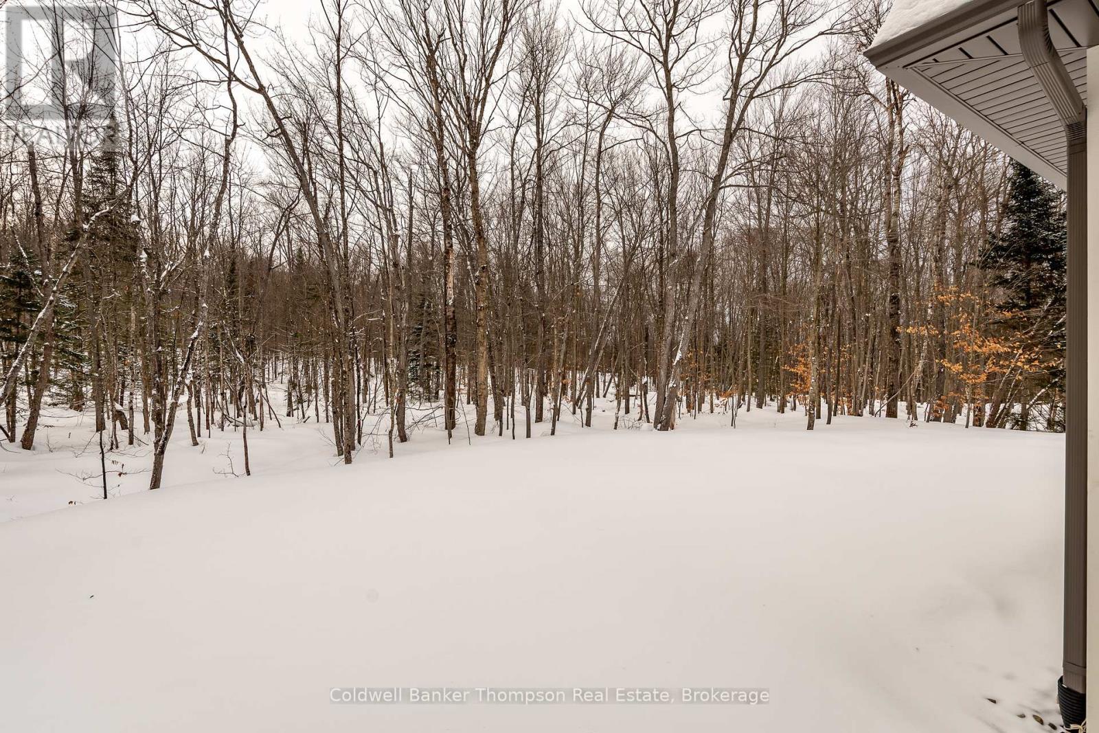 1854 Old Muskoka Road, Huntsville, Ontario  P0B 1M0 - Photo 42 - X12642506