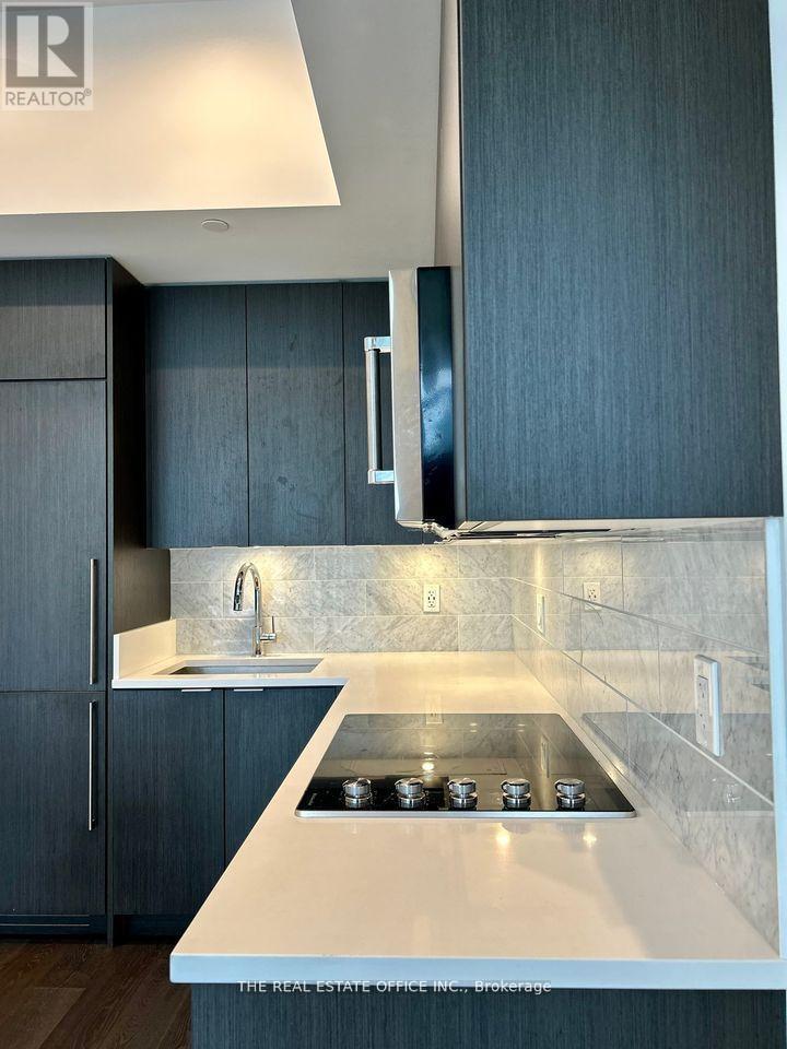 Ph01 - 38 Iannuzzi Street, Toronto, Ontario  M5V 0S2 - Photo 4 - C12668916