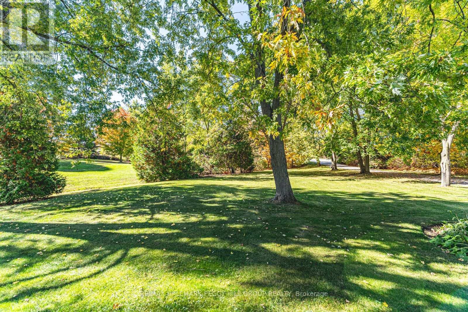 5853 Yonge Street, Innisfil, Ontario  L0L 1K0 - Photo 24 - N12669136