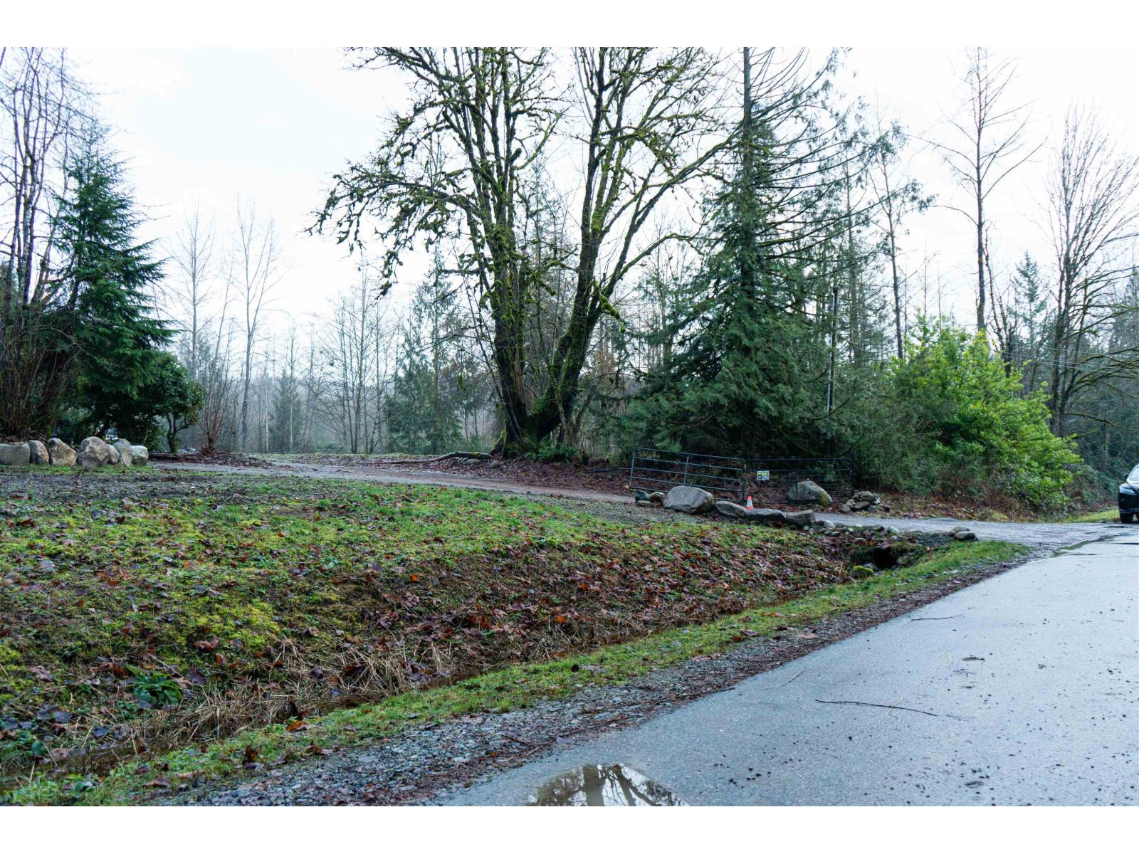 9540 Woodward Street, Mission, British Columbia  V4S 1B9 - Photo 4 - R3075011