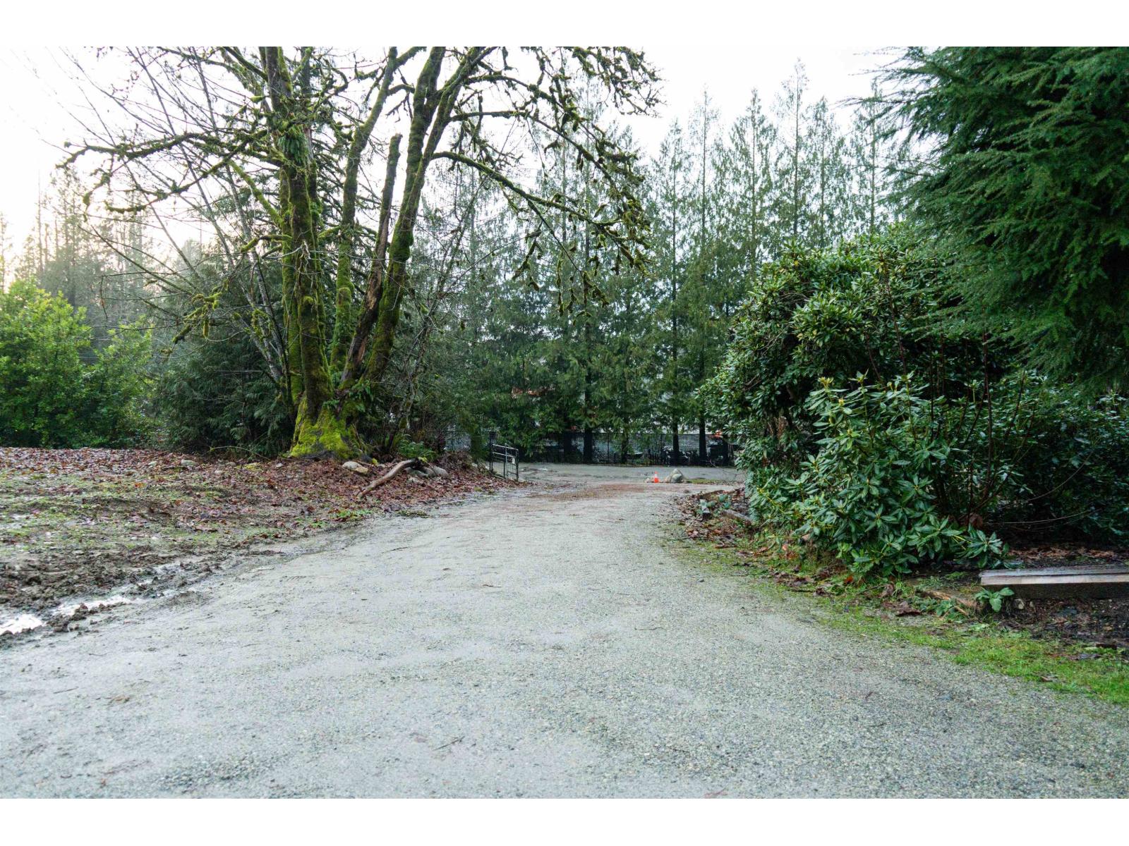 9540 Woodward Street, Mission, British Columbia  V4S 1B9 - Photo 5 - R3075011