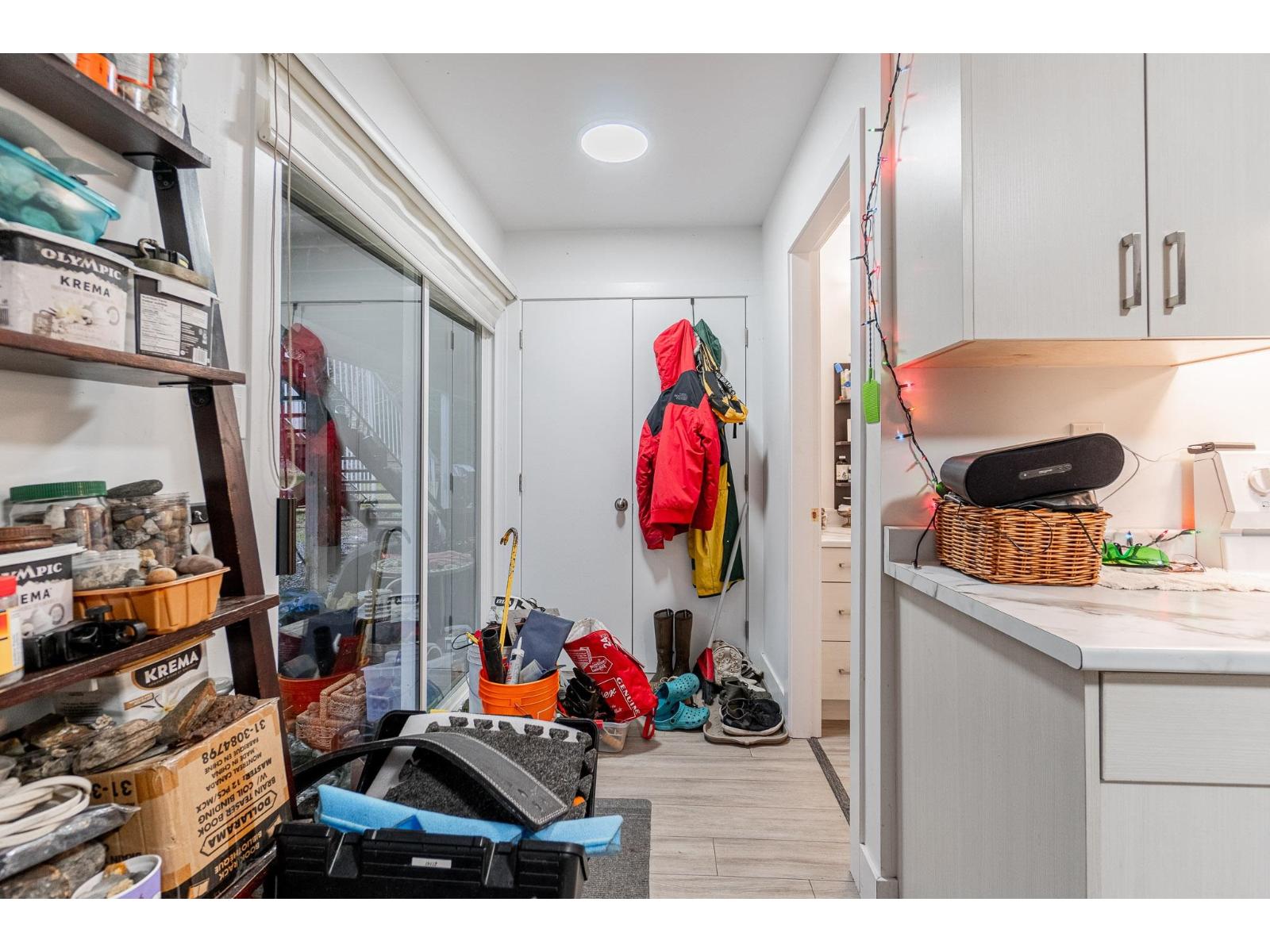 9540 Woodward Street, Mission, British Columbia  V4S 1B9 - Photo 31 - R3075011